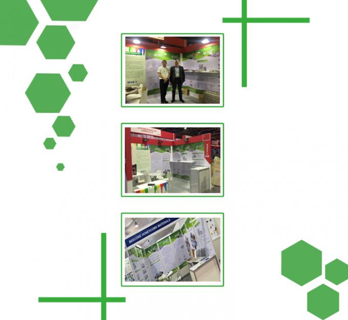 25T High Control Accuracy Plate Vulcanizing Press 5