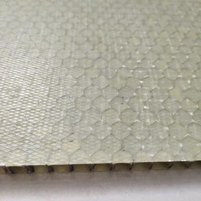 Light Weight FRP Honeycomb Sandwich Panel 1000x2000mm